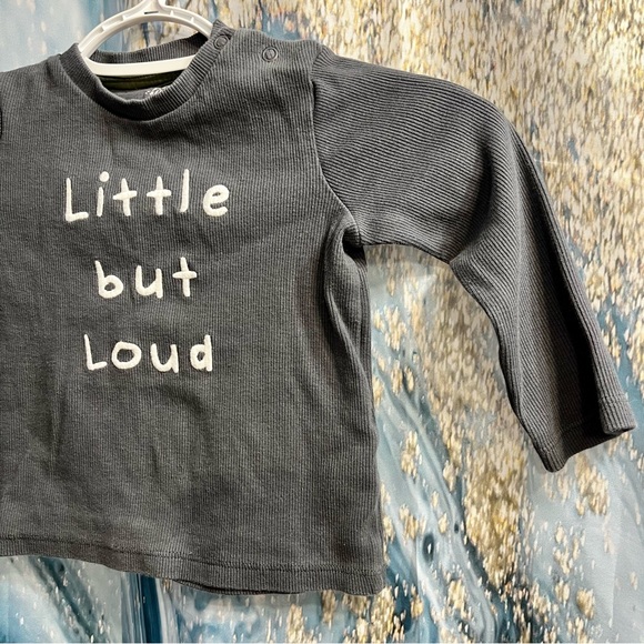 Fred & Flo Gray Dinosaur Spikes on Sleeve Size 12-18 Months - Picture 2 of 6